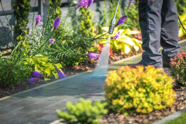 Best Patio and Deck Pressure Washing  in Brentwood, CA